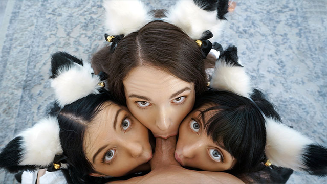 camkittys.ко$ Brooke Johnson, Kitty Cam & Lily Thot - Orgy Sex With Friends - Porn00